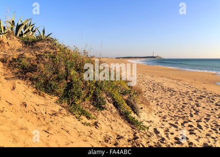 Spiaggia sabbiosa a Cabo de Trafalgar, la provincia di Cadiz Cadice, Spagna Foto Stock