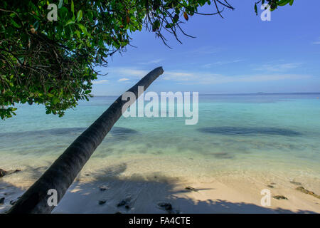 Isola Biyahdoo, Maldive, Oceano Indiano. Foto Stock
