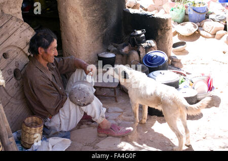 Cane randagio in Bolivia lo sniffing di un povero uomo con le mani in mano, che è in possesso di uno squallido grigio berretto da baseball Foto Stock