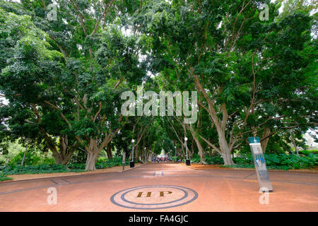 Hyde Park Central Sydney Australia Nuovo Galles del Sud AU Foto Stock