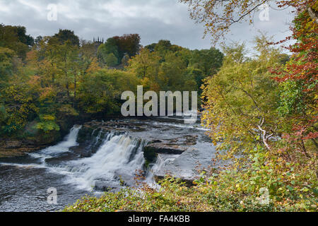 Medio Aysgarth Falls - Yorkshire Dales, England, Regno Unito Foto Stock
