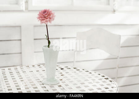 Rosa peonia fiore nel vaso sul tavolo a casa di vetro, Baviera, Germania Foto Stock