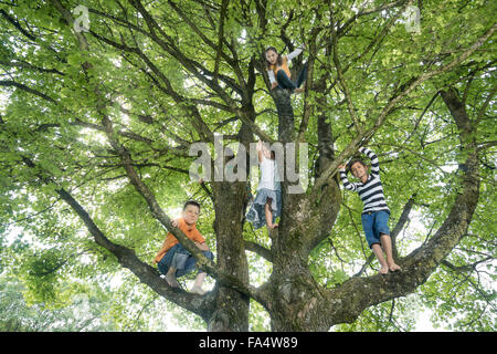 Bambini arrampicata sugli alberi, Monaco di Baviera, Germania Foto Stock