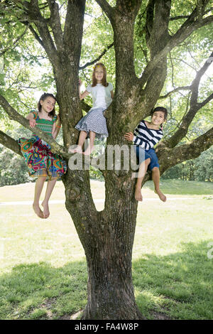 Ragazze arrampicata sugli alberi, Monaco di Baviera, Germania Foto Stock