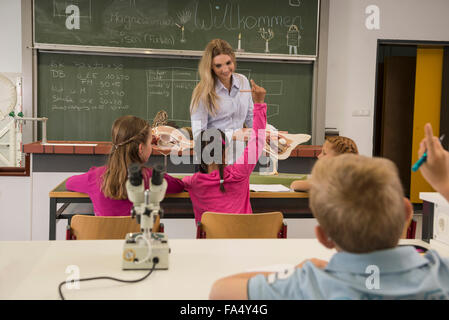 Insegnante femmina spiegando anatomica del modello di organo per studenti in classe di biologia, Fürstenfeldbruck, Baviera, Germania Foto Stock