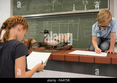 Studenti che fanno schizzi di animali sui loro sketch pad in corso di biologia, Fürstenfeldbruck, Baviera, Germania Foto Stock