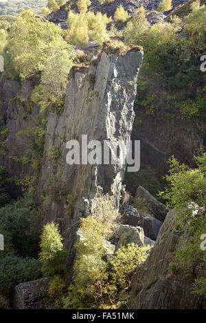 La struttura di pavimento coperto di Glyn Rhonwy cava a Llanberis, Gwynedd, Galles del Nord, Regno Unito Foto Stock