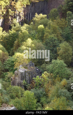 La struttura di pavimento coperto di Glyn Rhonwy cava a Llanberis, Gwynedd, Galles del Nord, Regno Unito Foto Stock