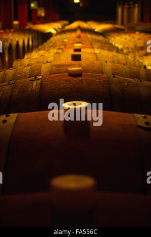 Cantina dei vini in Mendoza Argentina Foto Stock
