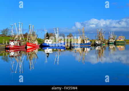 Gamberetti in porto, Greetsiel, Bassa Sassonia, Germania Foto Stock