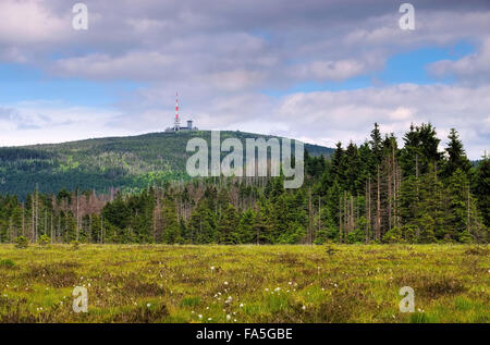 Brocken 01 Foto Stock