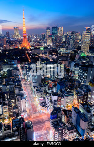 Tokyo, Giappone - Dic 12, 2015: vista notturna di Tokyo dall'alto.Tokyo è la capitale e la città più grande del Giappone. Foto Stock