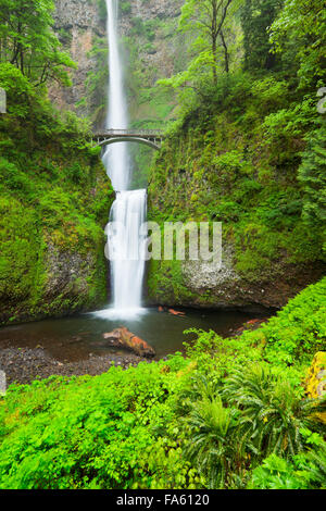 Multnomah Falls in the Columbia River Gorge, Oregon, USA. Foto Stock
