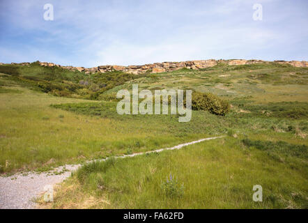 Capo fracassato In Buffalo Jump, Alberta, praterie, Canada, Foto Stock