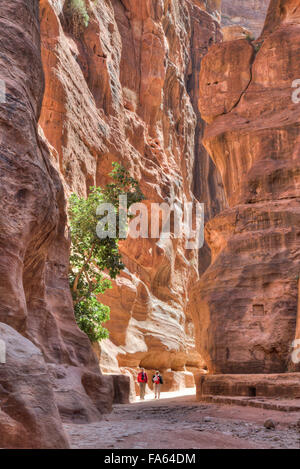 I turisti a piedi attraverso il Sig, Petra, Giordania Foto Stock