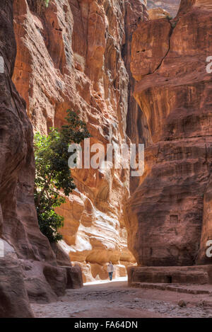 Donna che cammina attraverso il Sig, Petra, Giordania Foto Stock