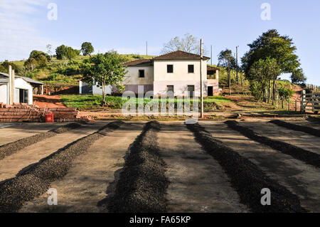 Vecchia casa e cantiere cafe in campagna - grani di essiccazione Foto Stock