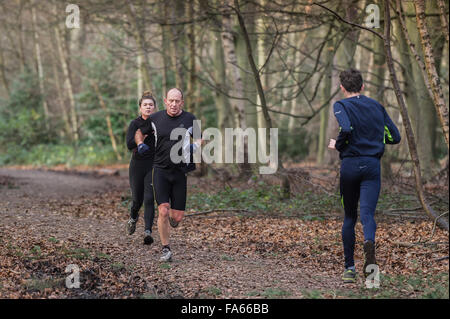 Esercizio di guide a Thorndon Parco bosco in Essex, Inghilterra, Regno Unito. Foto Stock