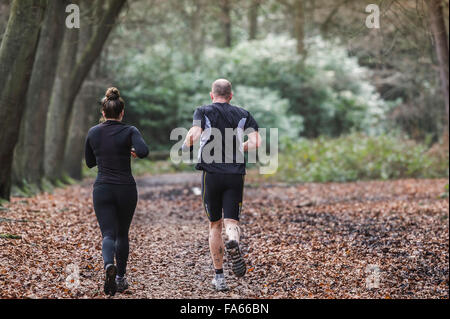 Per gli amanti del jogging correre attraverso Thorndon Parco bosco in Essex, Inghilterra, Regno Unito. Foto Stock