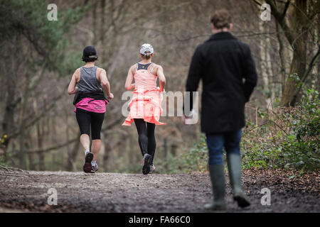 Due guide a fare jogging nel parco Thorndon bosco in Essex, Inghilterra, Regno Unito. Foto Stock