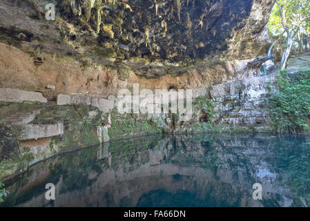 Cenote Zaci, Valladolid, Yucatan, Messico Foto Stock