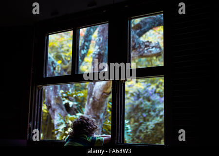 Ragazzo che guarda attraverso la finestra Foto Stock