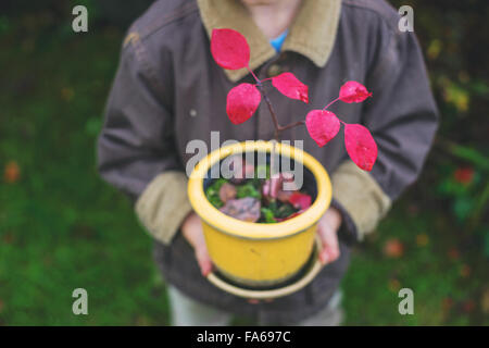 Ragazzo vaso di contenimento con piccolo albero Foto Stock