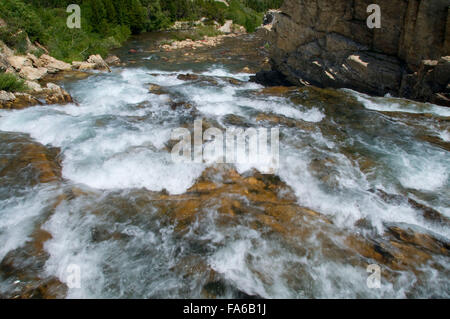 Swiftcurrent cade, il Glacier National Park Montana Foto Stock