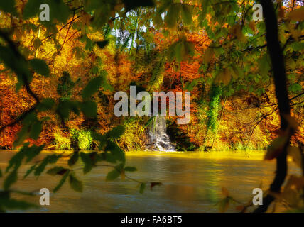 Fiume Limmat e Bosco in autunno, Baden, Svizzera Foto Stock