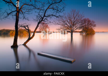 Lac de Grand-Lieu, Nantes, Loire-Atlantique, Francia Foto Stock