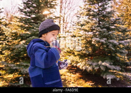 Ragazzo che mangia neve Foto Stock