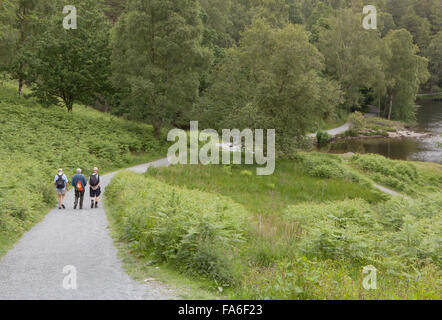 3 uomini a piedi attorno a Tarn Hows nel Lake District inglese, Cumbria Foto Stock