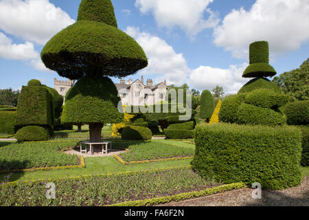 Topiaria da a Levens Hall nel distretto del lago, Inghilterra Foto Stock