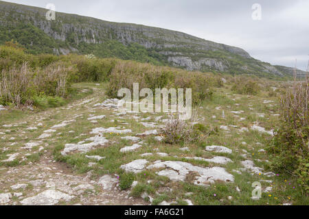 Slieve Carran - Eagle Rock in The Burren, County Clare, Irlanda Foto Stock