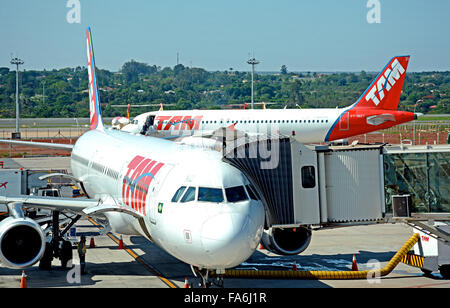 Airbus della TAM Airlines in Presidente Juscelino Kubitschek dall'Aeroporto Internazionale di Brasilia in Brasile Foto Stock