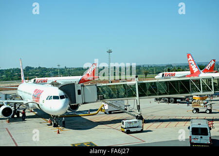 Airbus della TAM Airlines in Presidente Juscelino Kubitschek dall'Aeroporto Internazionale di Brasilia in Brasile Foto Stock