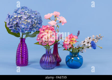 Le Ortensie rosa e blu e altri fiori su sfondo colorato Foto Stock