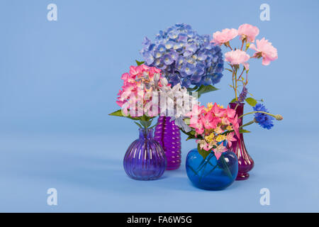 Le Ortensie rosa e blu e altri fiori su sfondo colorato Foto Stock