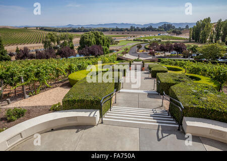 Scalone, giardini formali, Domaine Carneros, Duhig Roa, la Valle di Napa NAPA County, California, Stati Uniti Foto Stock