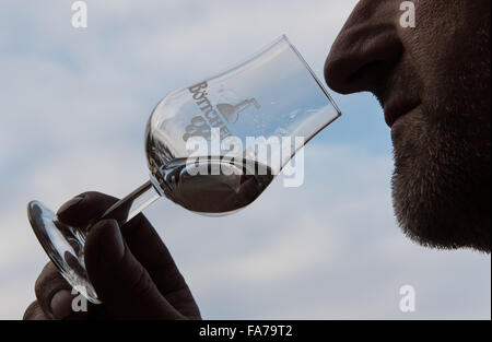 Schallstadt, Germania. 26 Nov, 2015. Distillatore liquore Frank Kuechlin prende un odore al gin in Schallstadt, Germania, 26 novembre 2015. Foto: PATRICK SEEGER/dpa/Alamy Live News Foto Stock