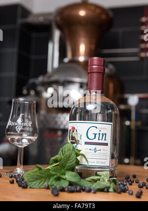 Schallstadt, Germania. 26 Nov, 2015. Una bottiglia di gin, foglie di menta e bacche di ginepro raffigurato su una tavola di una distilleria di grappa in Schallstadt, Germania, 26 novembre 2015. Foto: PATRICK SEEGER/dpa/Alamy Live News Foto Stock