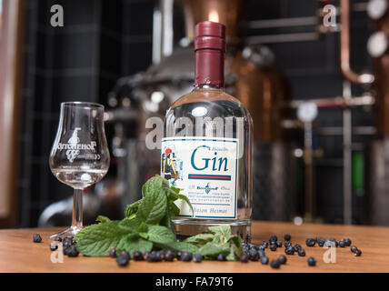 Schallstadt, Germania. 26 Nov, 2015. Una bottiglia di gin, foglie di menta e bacche di ginepro raffigurato su una tavola di una distilleria di grappa in Schallstadt, Germania, 26 novembre 2015. Foto: PATRICK SEEGER/dpa/Alamy Live News Foto Stock