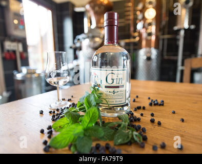 Schallstadt, Germania. 26 Nov, 2015. Una bottiglia di gin, foglie di menta e bacche di ginepro raffigurato su una tavola di una distilleria di grappa in Schallstadt, Germania, 26 novembre 2015. Foto: PATRICK SEEGER/dpa/Alamy Live News Foto Stock