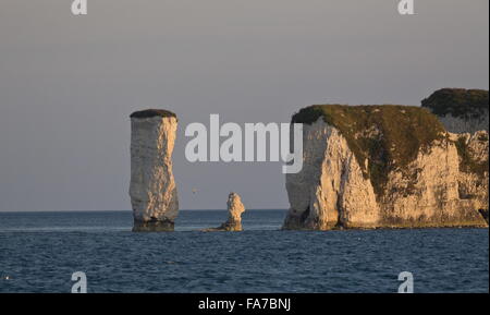 Chalk cliffs e pile di Old Harry Rocks, Foreland punto, Studland, Dorset Foto Stock