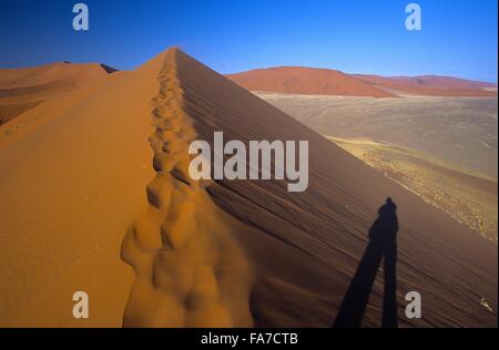 La Namibia, Namib-Naukluft National Park, Sesriem, Dune 45, vista dal vertice // Namibie, Namib-Naukluft National Park, Sesriem, D Foto Stock