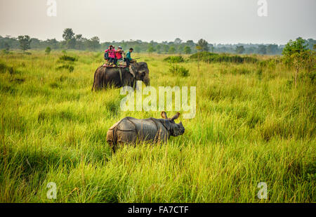 I turisti a guardare e a fotografare un rhino dalla parte posteriore di un elefante in Chitwan il parco nazionale. Foto Stock