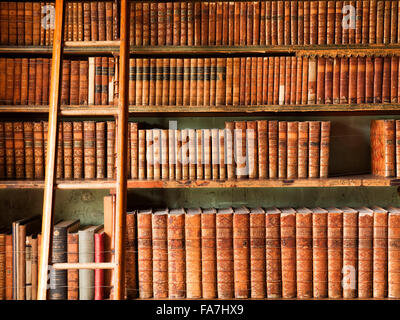 BRODSWORTH HALL, South Yorkshire. Vista interna della libreria. Dettaglio del cuoio-libri rilegati e scala. Libreria scala per raggiungere i piani superiori. Foto Stock