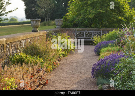 Piante erbacee da giardino a Killerton, Devon mostrato nella luce della sera di luglio. La funzione confini bianco lavanda e heuchera e una panca in legno e urne cinerarie sulla parete può anche essere visto. Il giardino, creato da John Veitch, Killerton è di evidenziare. Foto Stock