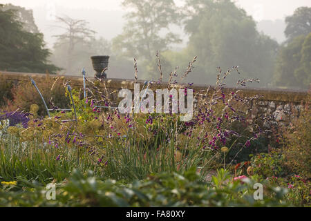 Piante erbacee terrazza giardino alla Killerton, Devon nel luglio mostra dierama, urne cinerarie e parco al di là. La terrazza è stata suggerita da architetto Henry Protheroe nel 1900 e completato per le raccomandazioni di William Robinson nel 1905. Foto Stock