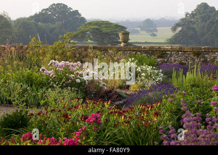 Piante erbacee terrazza a Killerton, Devon nel luglio mostra le rose, lavanda, hemerocallis, urne cinerarie e parco al di là. La terrazza è stata suggerita da architetto Henry Protheroe nel 1900 e completato per le raccomandazioni di William Robinson nel 1905. Foto Stock